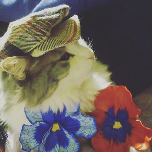 Meet your Posher, Pam